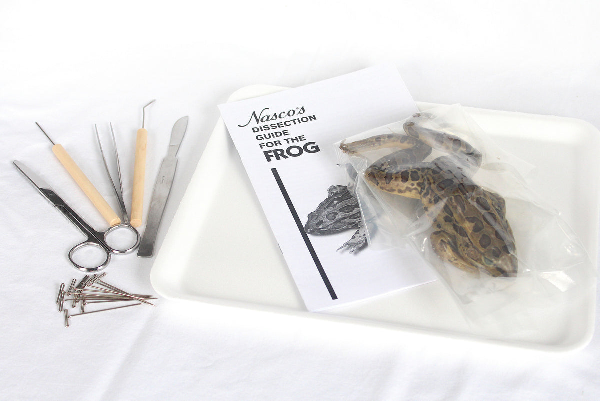 http://www.homeeducationalresources.com/cdn/shop/products/Frog_Dissection_Kit_300dpi_1200x1200.jpg?v=1395602890